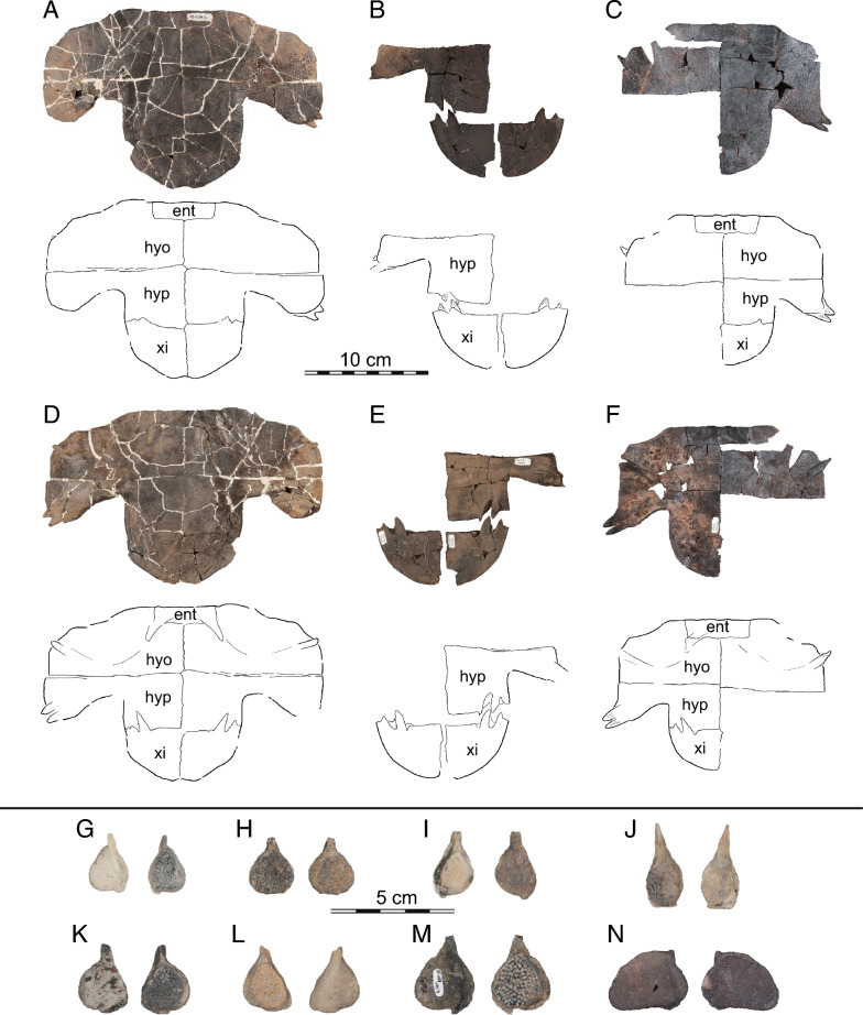 Figure 14