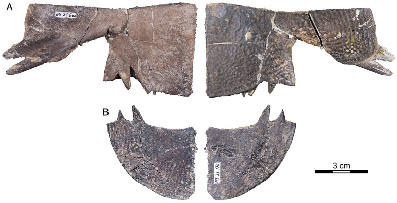 Figure 15
