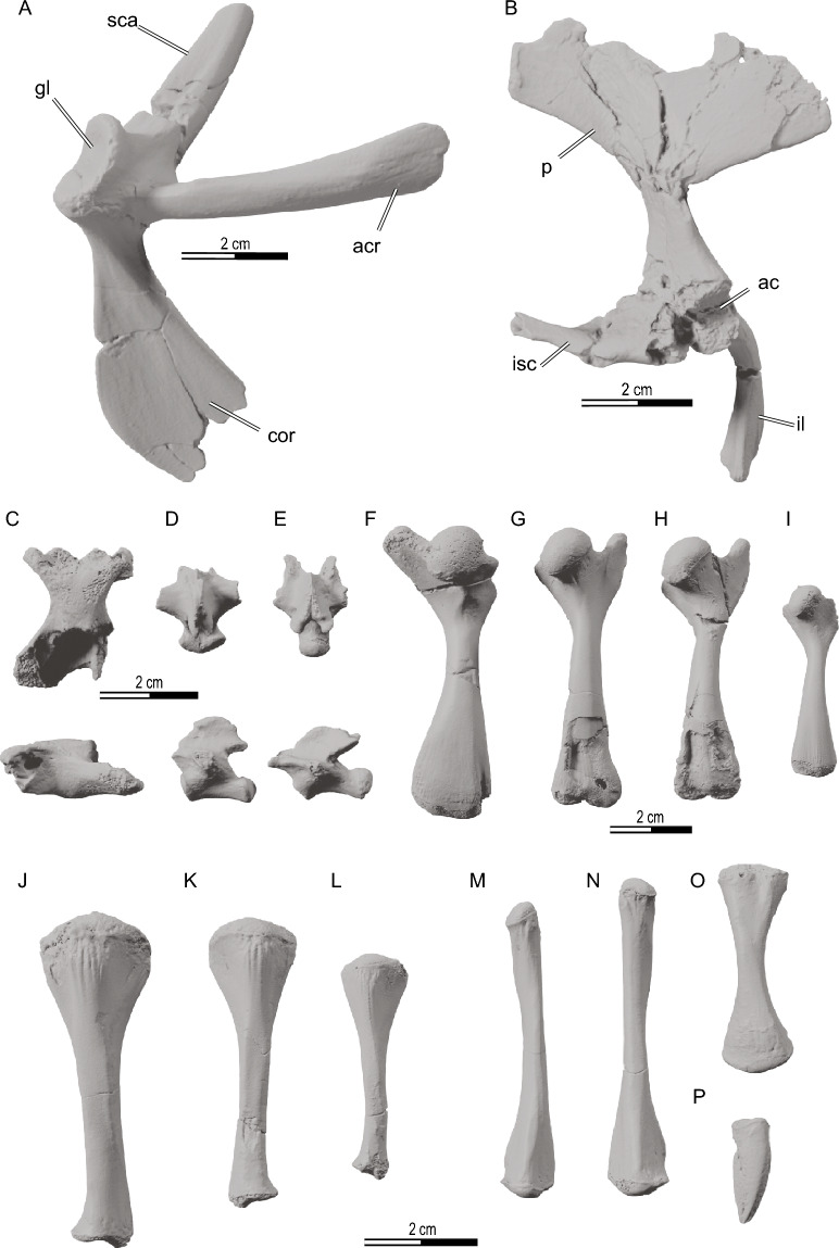 Figure 16