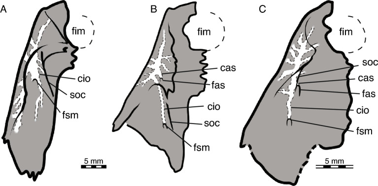 Figure 19