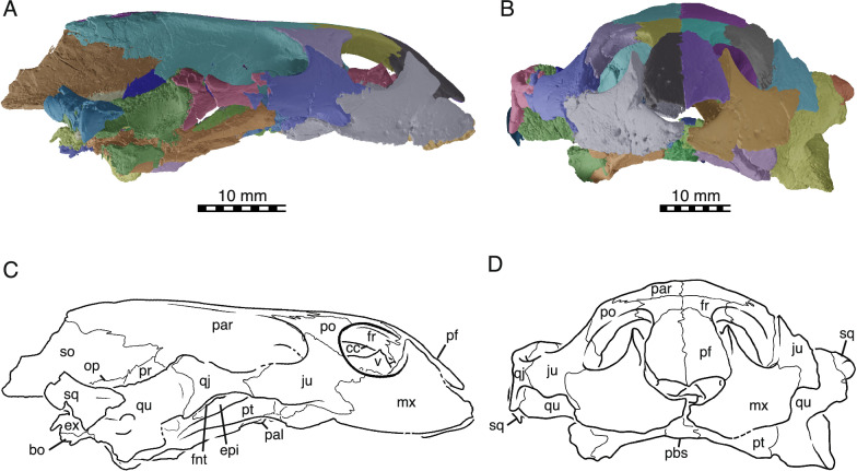 Figure 4