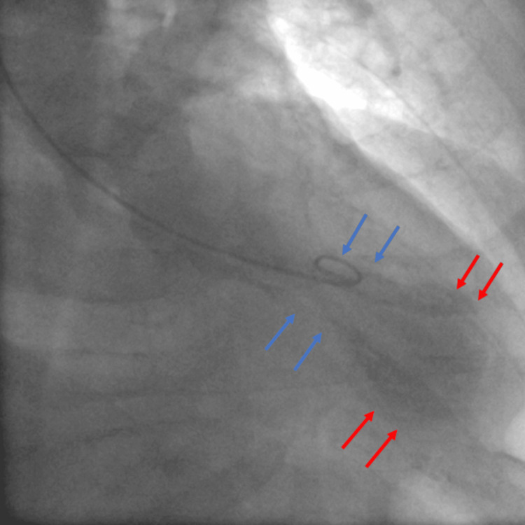 Figure 7