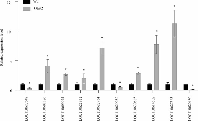 Figure 7