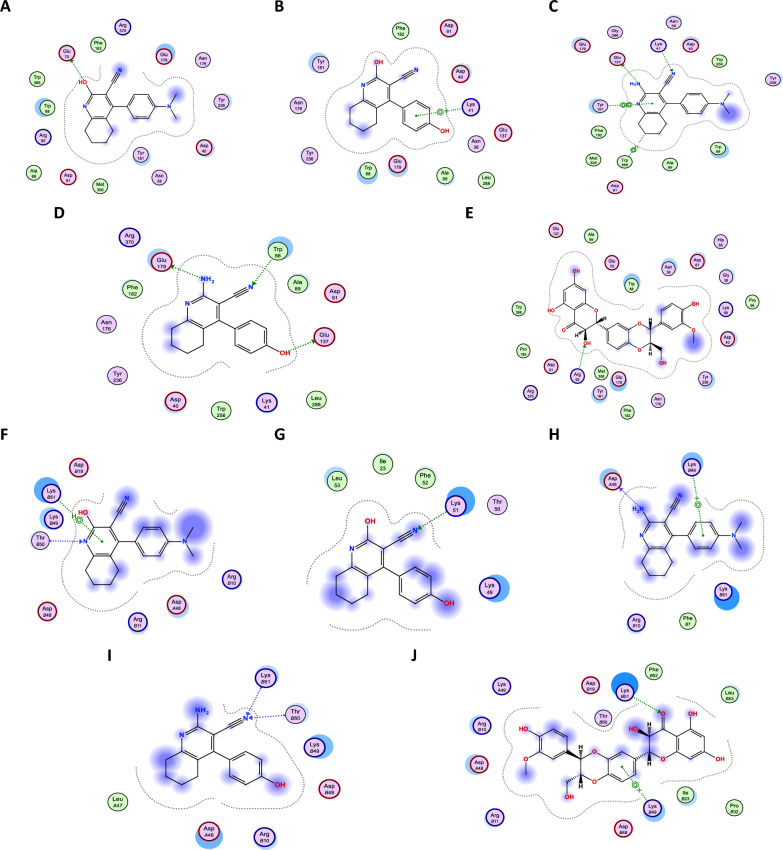 Figure 10