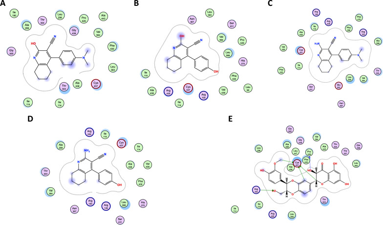 Figure 11