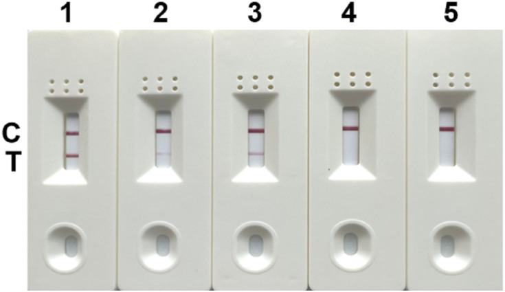 Figure 2