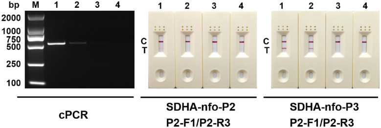 Figure 3