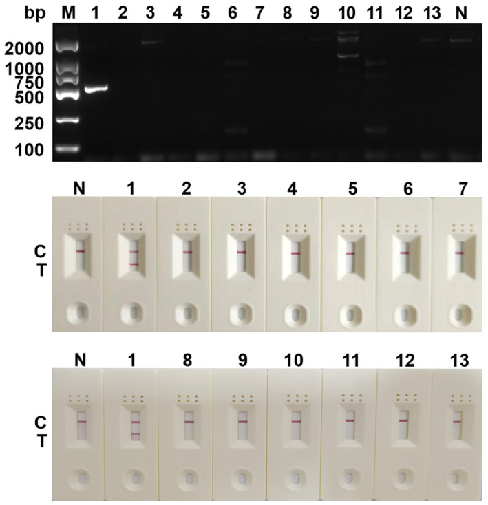 Figure 4