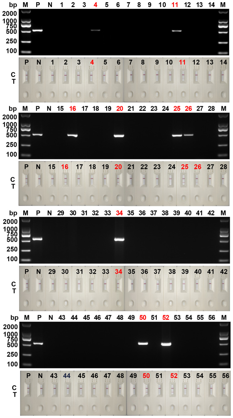 Figure 7