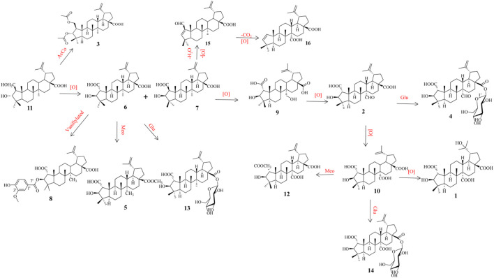 SCHEME 1