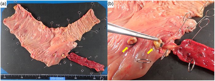 FIGURE 3