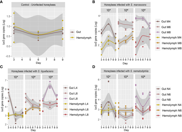 Figure 2