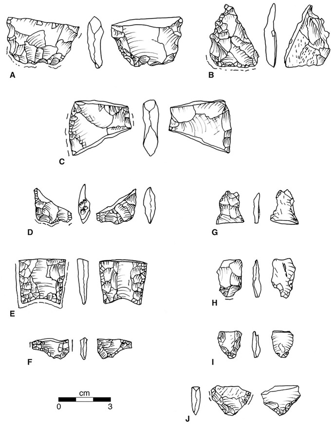 Fig 7