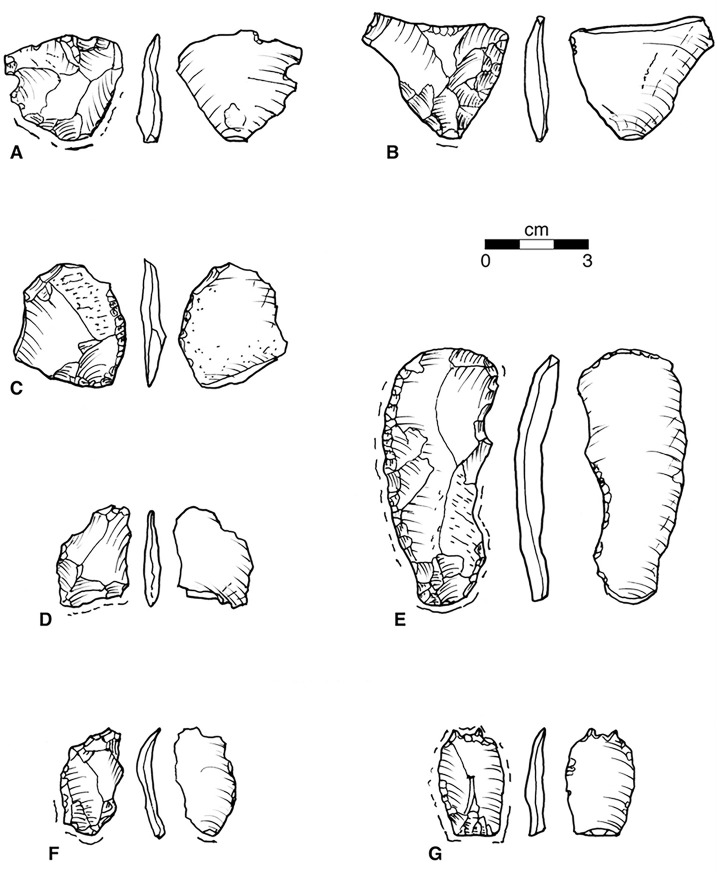 Fig 8