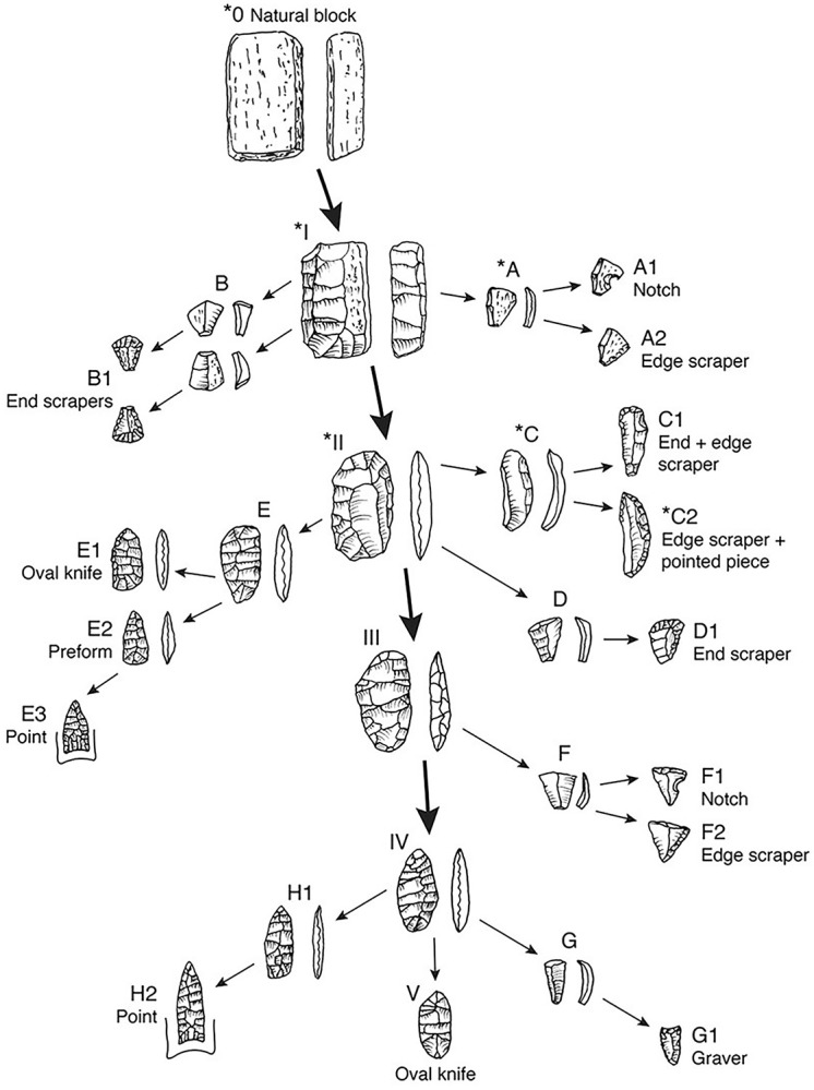 Fig 10
