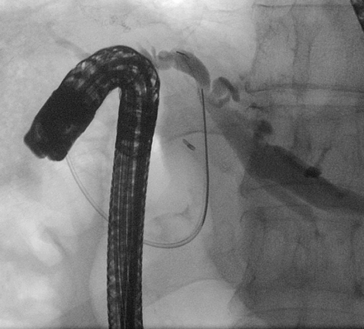 Fig. 5