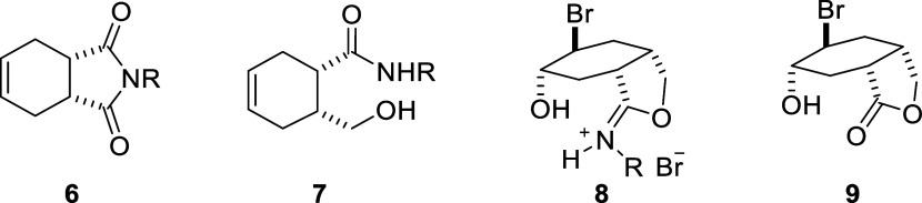 Scheme 2