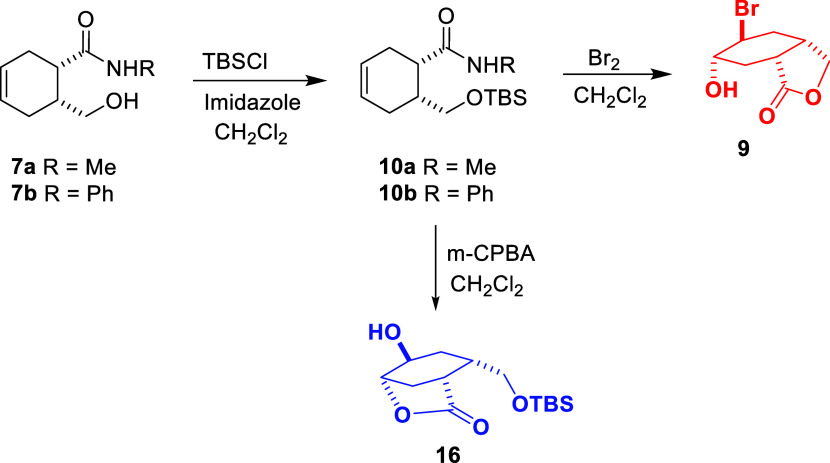 Scheme 4