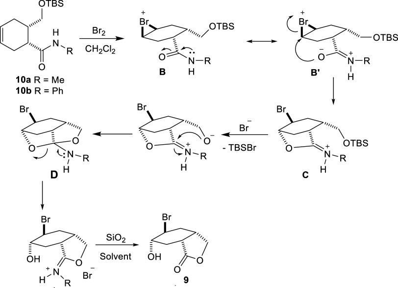 Scheme 5