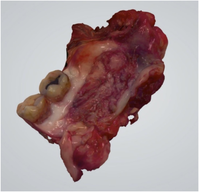 Figure 3