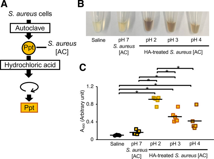 Fig 6