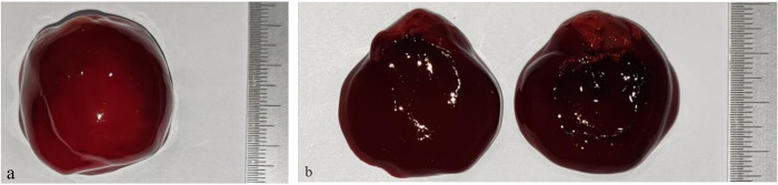 Fig 3
