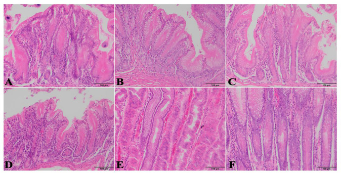 Fig 10