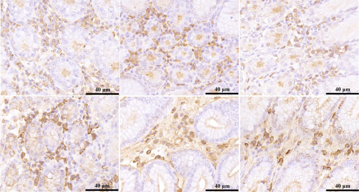Fig 11
