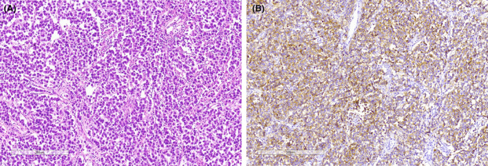 FIGURE 3