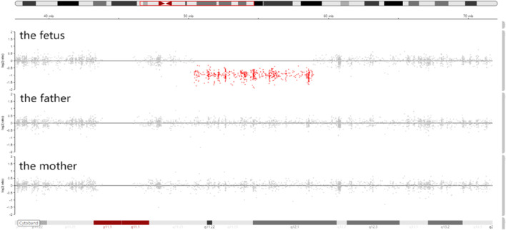 FIGURE 1