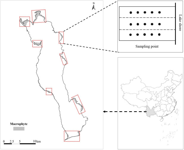 Figure 1