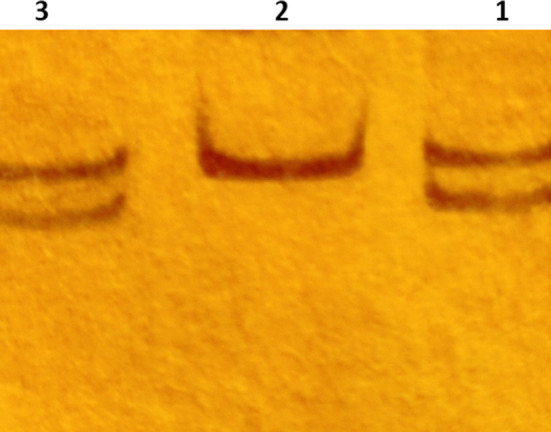 Fig.1