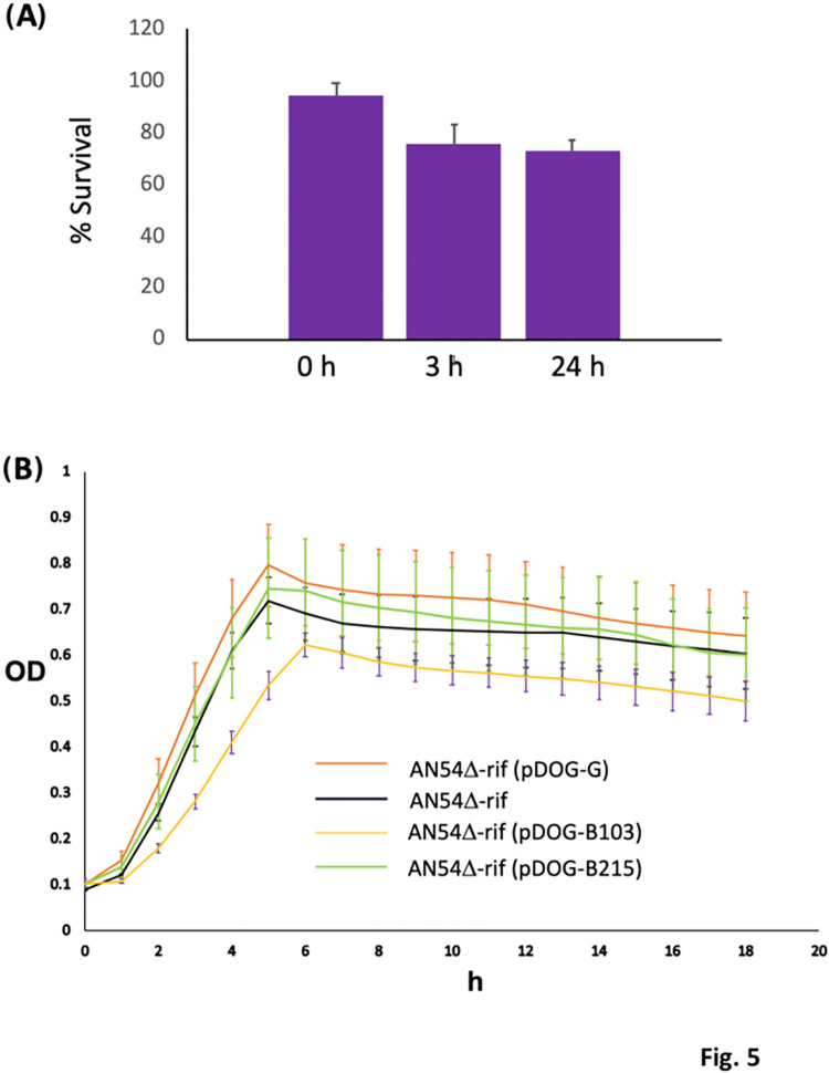 Figure 5