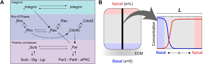 Figure 33