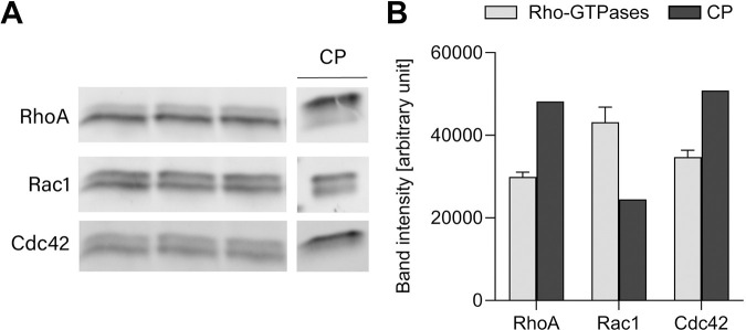 Figure 34