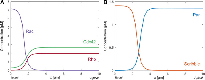 Figure 37