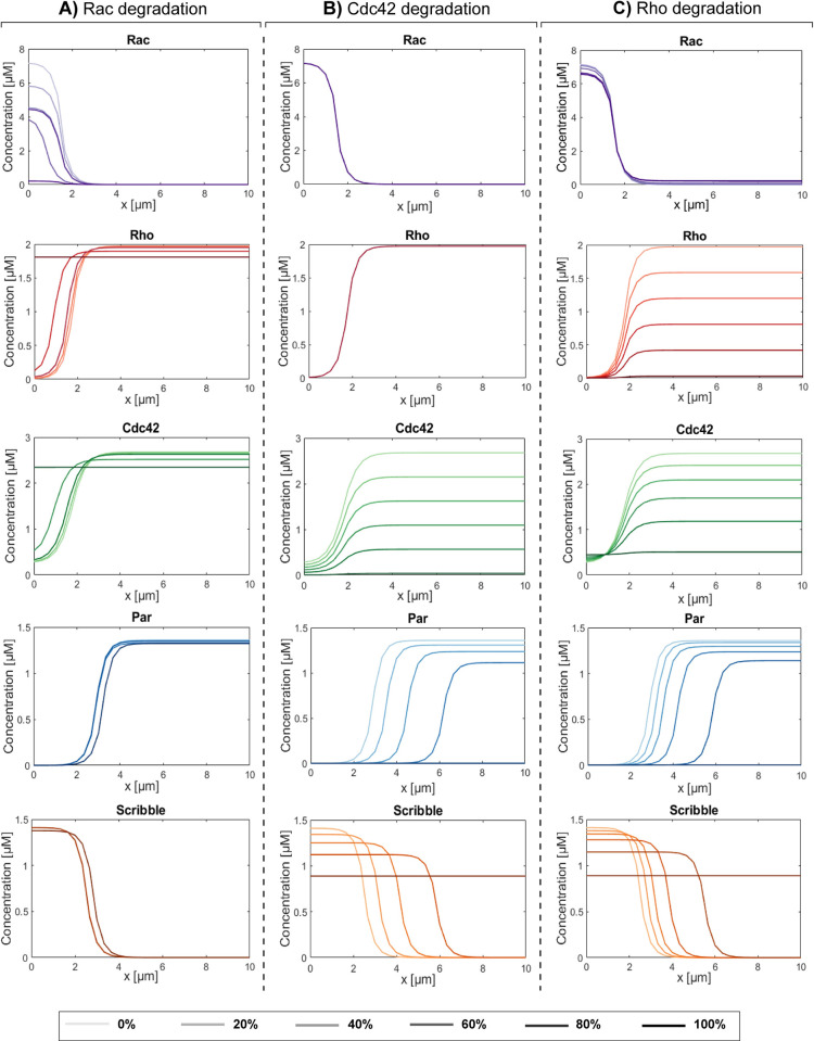Figure 41