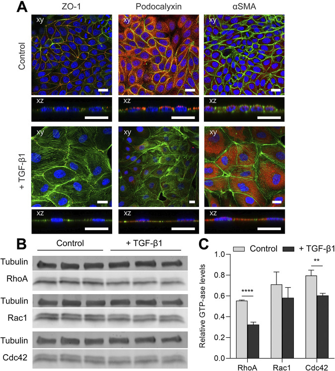 Figure 43