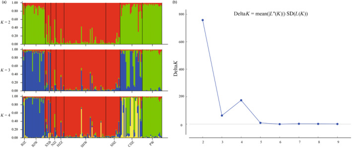 FIGURE 2