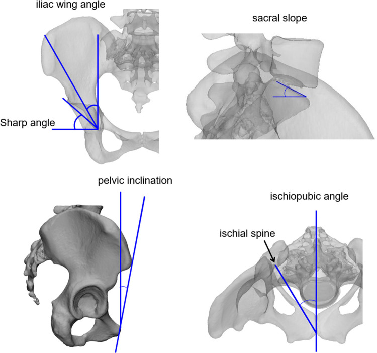 Fig 3