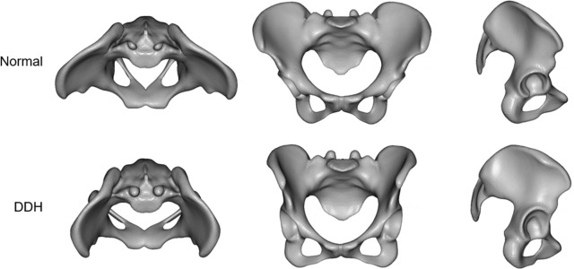 Fig 6