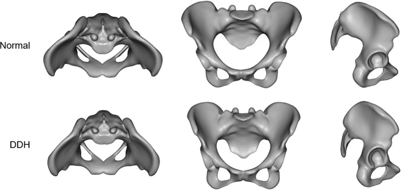 Fig 7
