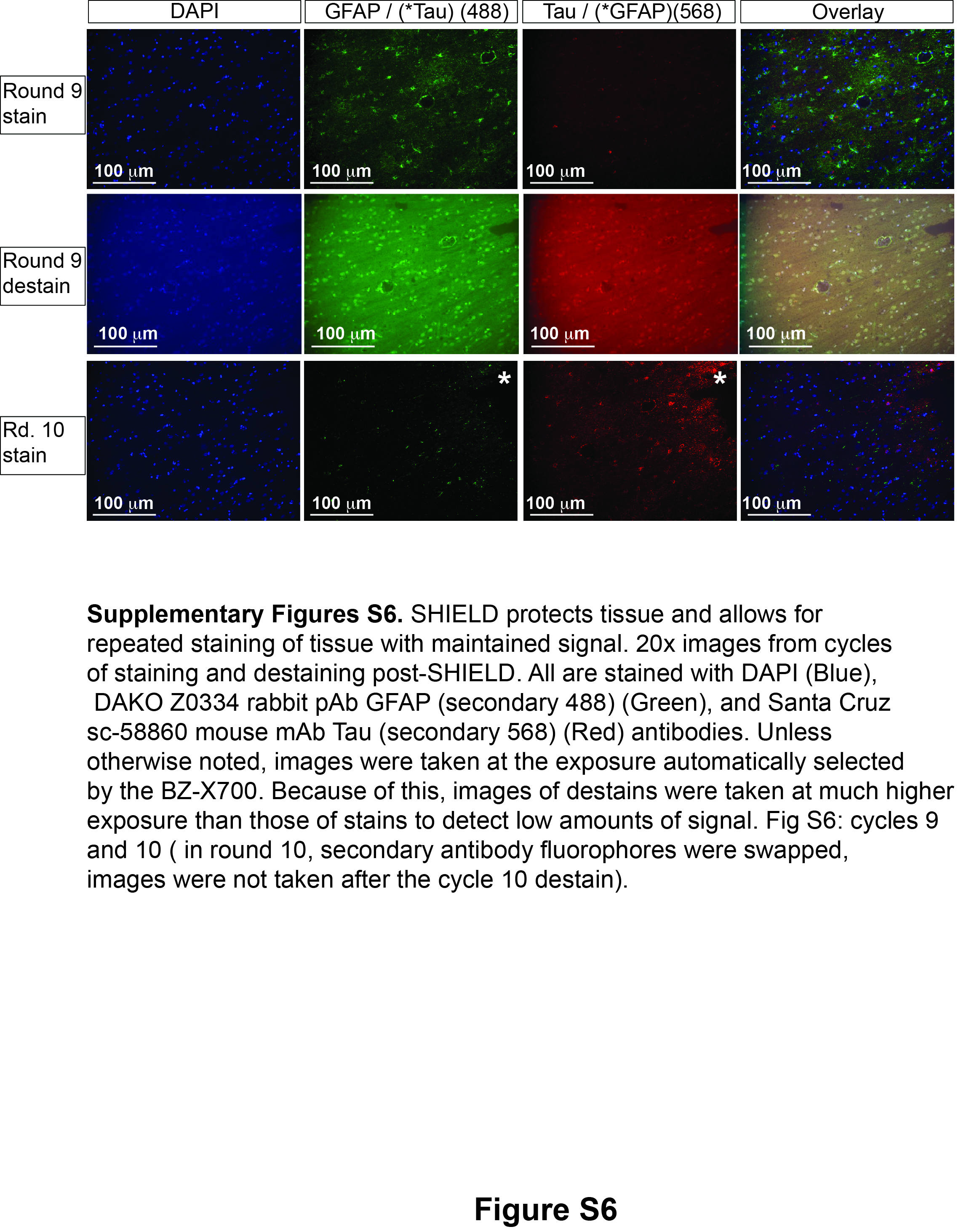 Figure 13