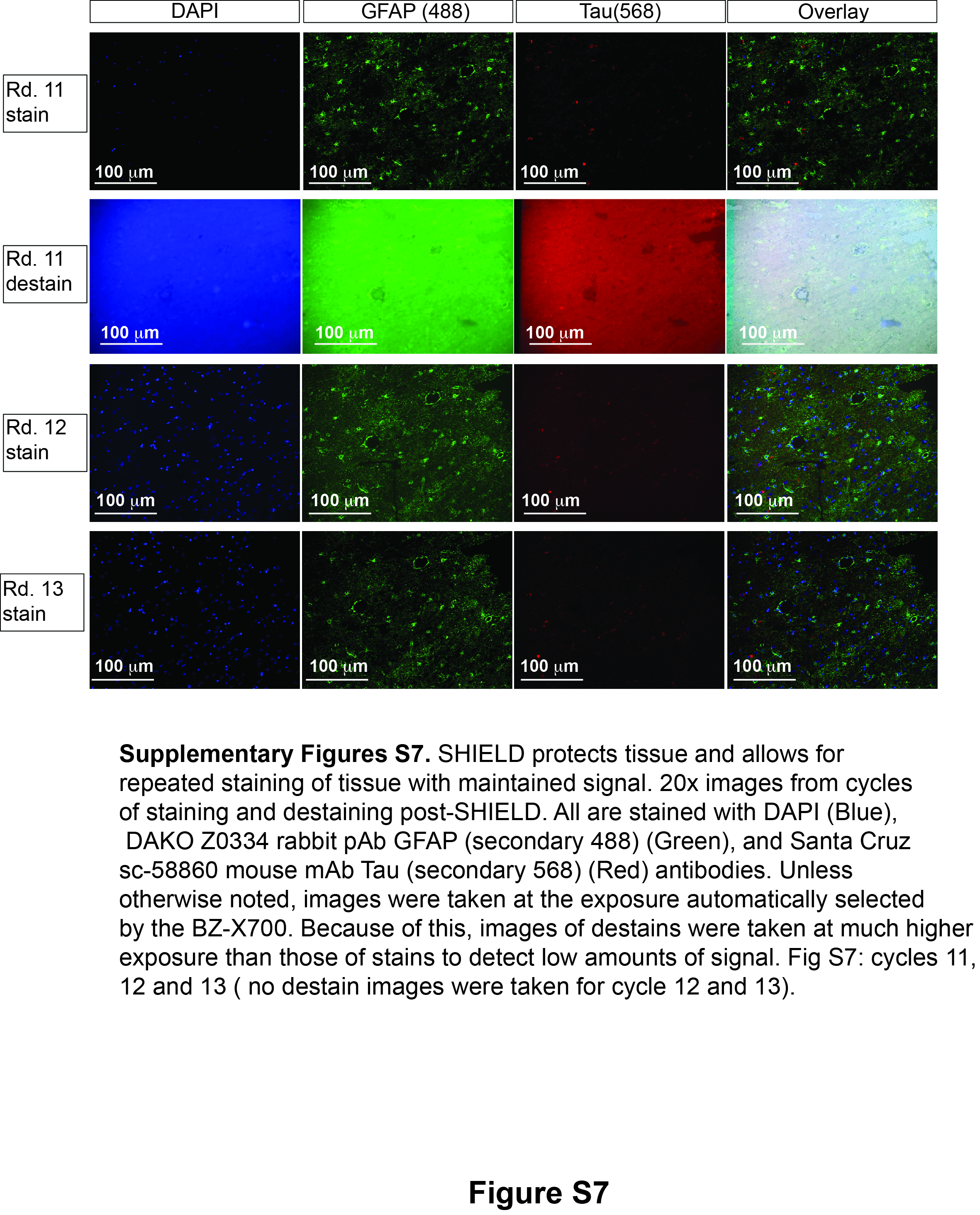Figure 14
