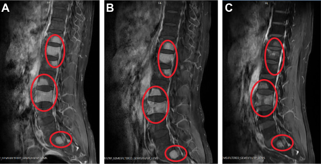 Figure 1