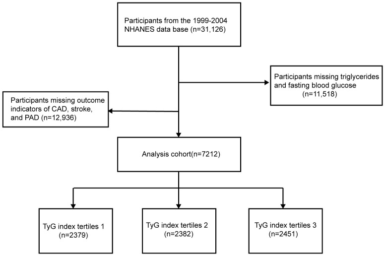 Figure 1