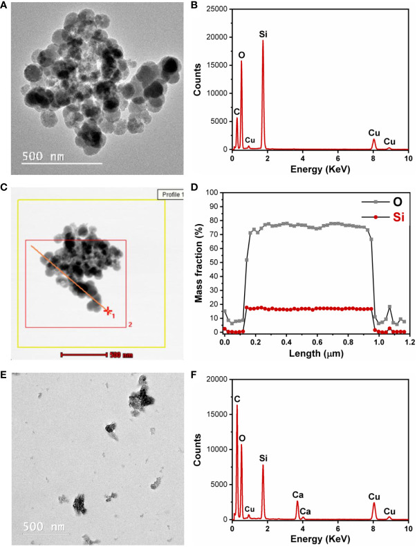 Figure 4