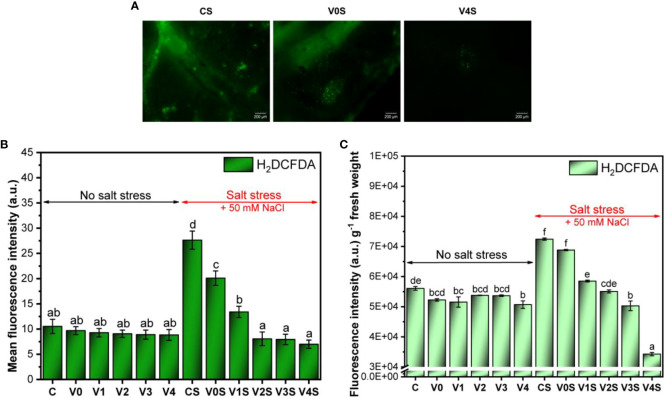 Figure 11
