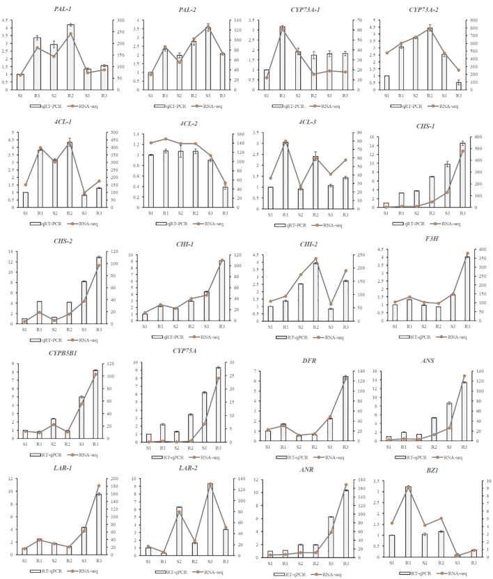 Figure 6