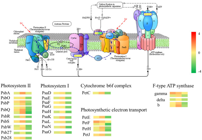 Figure 9
